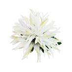  организовать волосы зажим KC-351 автомобиль - Lee mam зажим ( белый ) *. покрой делаем 