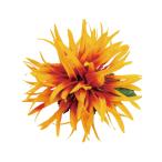  организовать волосы зажим KC-352 автомобиль - Lee mam зажим ( orange ) *. покрой делаем 