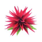  организовать волосы зажим KC-361 -тактный re Cheer зажим ( розовый ) *. покрой делаем 