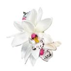  организовать волосы зажим KC-363simbiju-m Mini зажим ( белый ) *. покрой делаем 