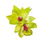  организовать волосы зажим KC-366simbiju-m Mini зажим ( зеленый ) *. покрой делаем 