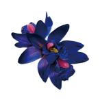  организовать волосы зажим KC-367simbiju-m Mini зажим ( темно-голубой ) *. покрой делаем 