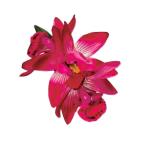  организовать волосы зажим KC-369simbiju-m Mini зажим ( розовый ) *. покрой делаем 