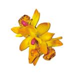  организовать волосы зажим KC-370simbiju-m Mini зажим ( желтый ) *. покрой делаем 