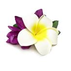  организовать волосы зажим KC-377 плюмерия Mini зажим *. покрой делаем 