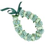  хула Ray организовать Ray KCL-021la наан kyulas&amp; георгина Ray ( зеленый ) *. покрой делаем 