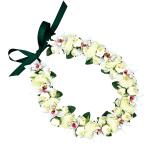  хула Ray организовать Ray KCL-026 rose & Mini simbiju-m Ray ( белый ) *. покрой делаем 