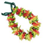  хула Ray организовать Ray KCL-029 зеркальный a Ray ( красный ) *. покрой делаем 