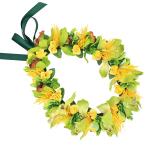  хула Ray организовать Ray KCL-030 зеркальный a Ray ( желтый ) *. покрой делаем 