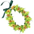  хула Ray организовать Ray KCL-034 стакан o- Kid Ray ( зеленый ) *. покрой делаем 