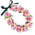  хула Ray организовать Ray KCL-036 Mini simbiju-m Ray ( розовый ) *. покрой делаем 