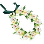  хула Ray организовать Ray KCL-038 Mini simbiju-m Ray ( белый ) *. покрой делаем 