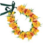  хула Ray организовать Ray KCL-039 Mini simbiju-m Ray ( желтый ) *. покрой делаем 