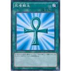 Yahoo! Yahoo!ショッピング(ヤフー ショッピング)遊戯王 20AP-JP018 死者蘇生 （ノーマルパラレル） 20th ANNIVERSARY PACK 1st WAVE 20AP