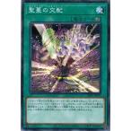 Yahoo! Yahoo!ショッピング(ヤフー ショッピング)遊戯王 21PP-JP020 聖蔓の交配 （ノーマルパラレル） プレミアムパック21