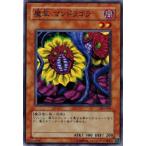 Yahoo! Yahoo!ショッピング(ヤフー ショッピング)遊戯王 303-018 魔草 マンドラゴラ 黒魔導の覇者 ランクB