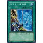 遊戯王 306-040 異次元の境界線 混沌を制す者 ランクB