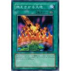 燃えさかる大地 - ノーマル/BE1-JP177