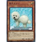 遊戯王 BODE-JP035 迷犬メリー (ノーマルレア) バースト・オブ・デスティニー