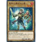 Yahoo! Yahoo!ショッピング(ヤフー ショッピング)遊戯王 COTD-JP019 星杯に選ばれし者 コード・オブ・ザ・デュエリスト COTD