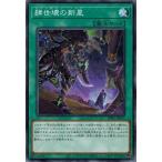 遊戯王 DIFO-JP059 肆世壊の新星 ディメンション・フォース