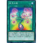 Yahoo! Yahoo!ショッピング(ヤフー ショッピング)遊戯王 DP19-JP045 宝玉の樹 レジェンドデュエリスト編2