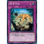 Yahoo! Yahoo!ショッピング(ヤフー ショッピング)遊戯王 DREV-JP064 闘争本能 デュエリスト・レボリューション