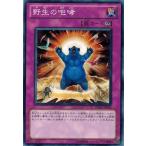 Yahoo! Yahoo!ショッピング(ヤフー ショッピング)遊戯王 DREV-JP065 野生の咆哮 デュエリスト・レボリューション