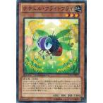 Yahoo! Yahoo!ショッピング(ヤフー ショッピング)遊戯王 中古ランクB（良い） DTC2-JP073 ナチュル・フライトフライ クロニクルII混沌の章