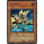 Yahoo! Yahoo!ショッピング(ヤフー ショッピング)遊戯王 EE2-JP077 対空放花 エキスパートエディション Volume.2
