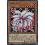Yahoo! Yahoo!ショッピング(ヤフー ショッピング)遊戯王 PP20-JP014 九尾の狐 （ウルトラレア） プレミアムパック20
