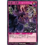 ͷåǥ奨 RD/KP02-JP048 « (쥢 سΥ饤ȥ˥󥰥å