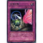 Yahoo! Yahoo!ショッピング(ヤフー ショッピング)遊戯王 RDS-JP060 援護射撃 （レア） RISE OF DESTINY ランクB