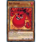 Yahoo! Yahoo!ショッピング(ヤフー ショッピング)遊戯王 ROTD-EN034 レッドポータン/Red Potan EU 1st
