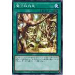 Yahoo! Yahoo!ショッピング(ヤフー ショッピング)遊戯王 SD39-JP023 魔法族の里 精霊術の使い手