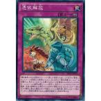 Yahoo! Yahoo!ショッピング(ヤフー ショッピング)遊戯王 中古ランクB（良い） SECE-JP076 憑依解放 ザ・シークレット・オブ・エボリューション