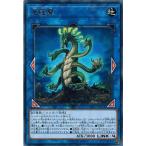 Yahoo! Yahoo!ショッピング(ヤフー ショッピング)遊戯王 SOFU-JP048 竜絶蘭 （レア） ソウル・フュージョン