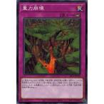 Yahoo! Yahoo!ショッピング(ヤフー ショッピング)遊戯王 SR11-JP039 重力崩壊 ドラグニティ・ドライブ