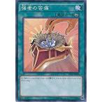 Yahoo! Yahoo!ショッピング(ヤフー ショッピング)遊戯王 ST16-JP029 強者の苦痛 スターターデッキ 2016 ST16