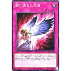 遊戯王 26PP-JP006 闇に堕ちた