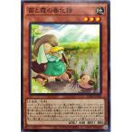 Yahoo! Yahoo!ショッピング(ヤフー ショッピング)遊戯王 DABL-JP026 苗と霞の春化精 ノーマル N ダークウィング・ブラスト
