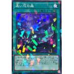 Torekajapan adbgc np jp034