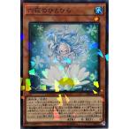 Torekajapan adbss np jp014