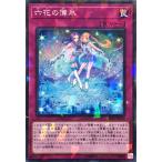 Torekajapan adbss np jp026