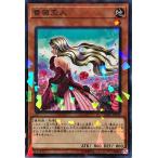 Torekajapan adbss np jp039