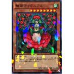 Torekajapan adbss np jp041