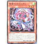 遊戯王 DOOD-JP013 絢嵐たるエルダム ノーマル N ドゥーム・オブ・ディメンションズ