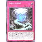 遊戯王 DOOD-JP076 絢嵐たる権能 ノーマル N ドゥーム・オブ・ディメンションズ