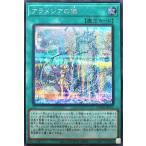 Torekajapan aloch se jp072