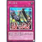 Torekajapan alpst se jp042